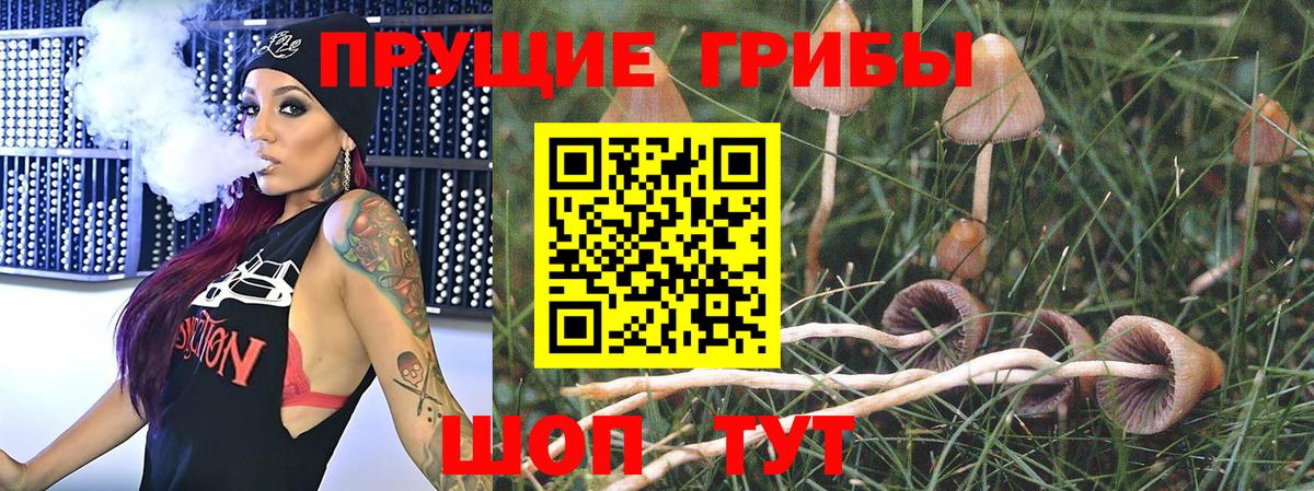 Галлюциногенные грибы GOLDEN TEACHER Петрозаводск