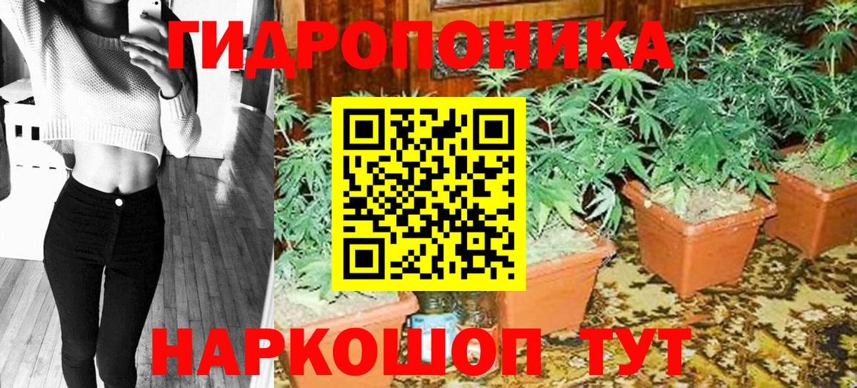 Бошки марихуана сатива Петрозаводск